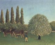 Henri Rousseau THe Pasture USA oil painting artist